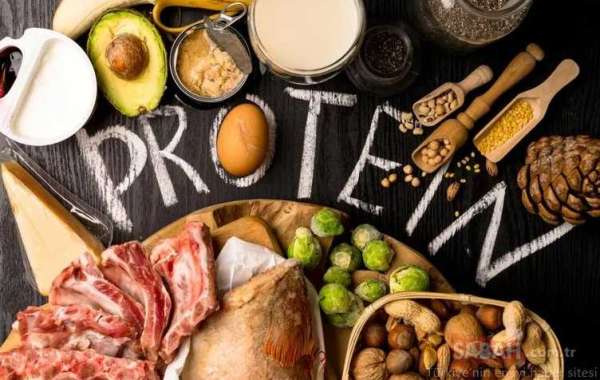 Protein Alternatives Market - Consumer Trends, Behavior Shifts, and Industry Evolution to 2033