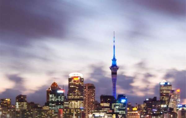 Who can apply to New Zealand universities as an international student?