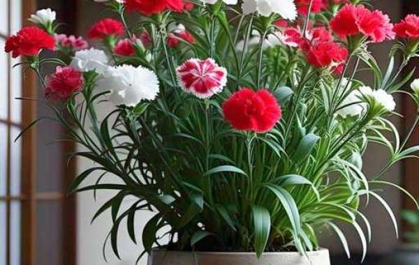 Expenses CB Taron Johnson Stocks Massive Enhance upon Damage Timeline