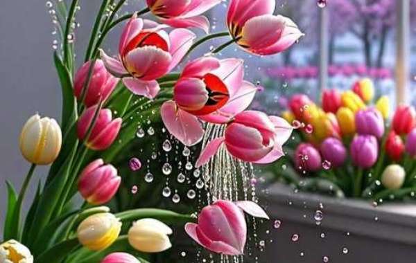 Tyler Soderstrom performs in just minute Futures Sport