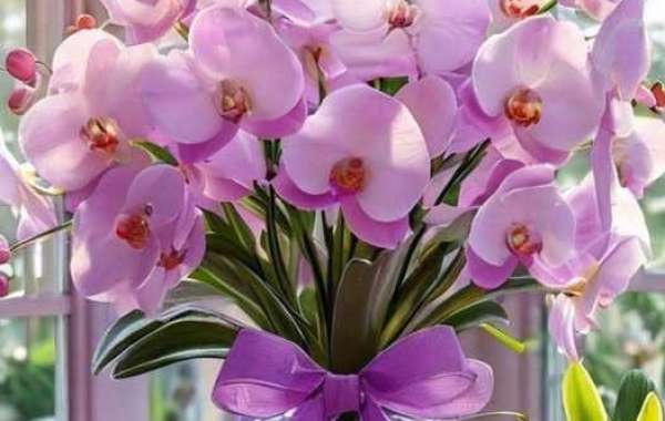 Packers, Jaire Alexander reunion relies upon upon a deal restructure