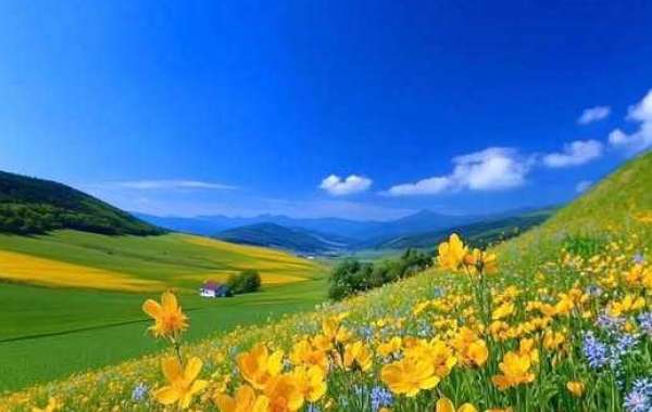 Aaron Choose termed towards 2022 All-MLB Initial Workers