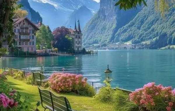 Vikings Ship A further Offensive Participant toward IR as Damage Mount: Posting