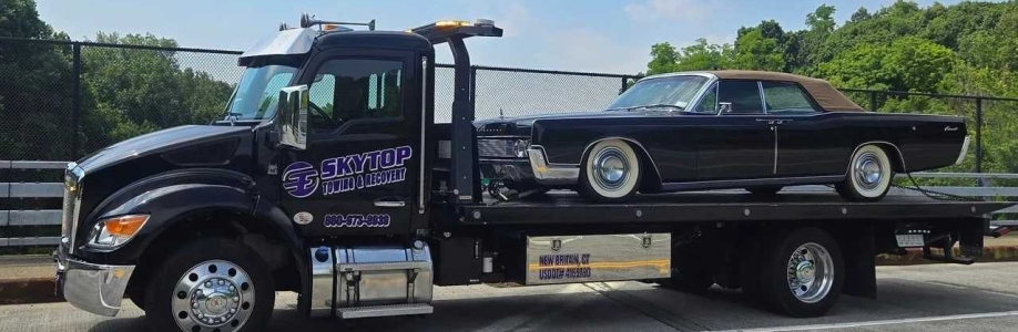 Skytop Towing Cover Image