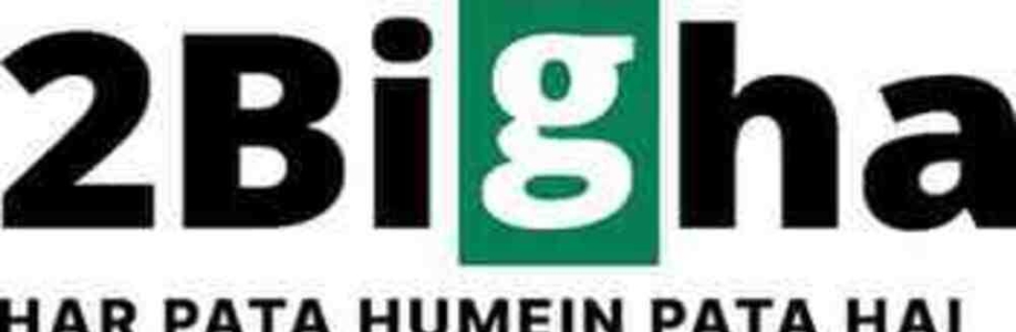 Palms and Pebbles Cover Image