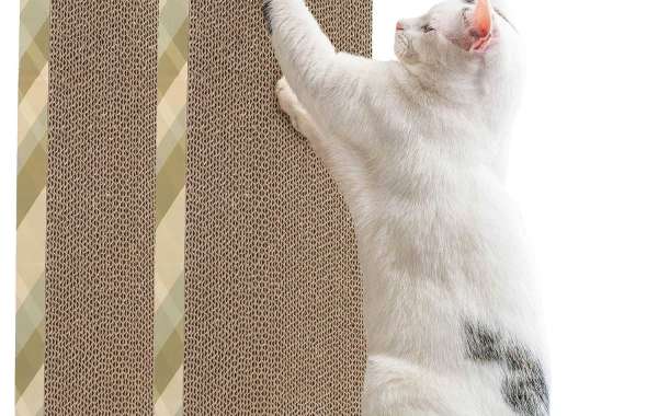 The Best Choice for Your Feline Friend – A Smart Investment in a Cat Wall Scratcher