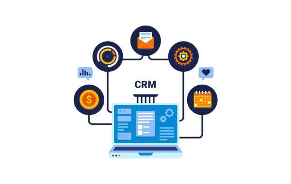 Why custom CRM and ERP systems are shaping New Zealand’s business landscape in 2025