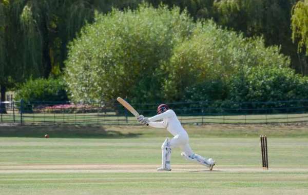 T20Match: All Cricket Action at Your Disposal