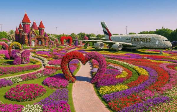 Is Dubai Miracle Garden the World’s Most Beautiful Park?