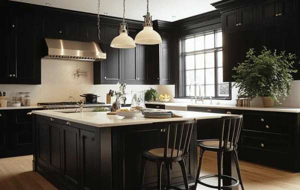 Affordable Black RTA Cabinets for Kitchens, Bathrooms, and Storage