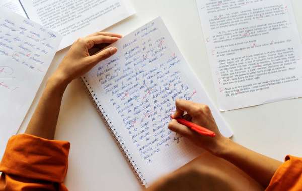 Top Affordable Essay Writing Services in Canada for Students