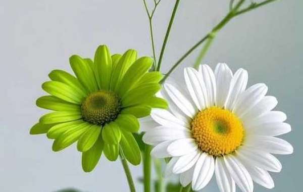 Milwaukee Pounds Arena Newest: Lakefront out, officers in opposition to Oklahoma Town, Cleveland, and Denver proportion 