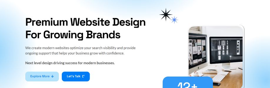 bizu pllc Cover Image