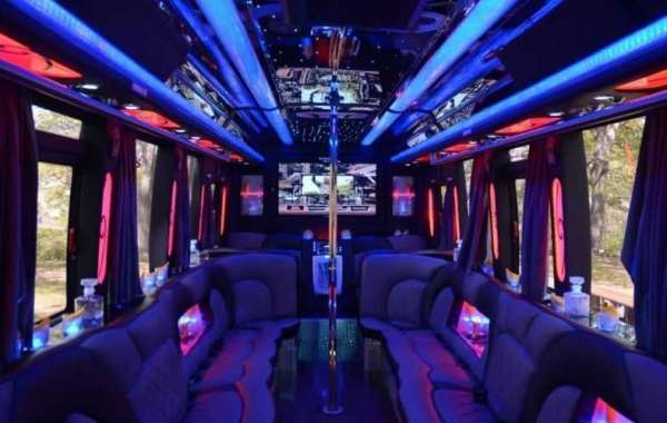 Bachelor Party Bus Problems Solved: Comfort, Safety, and Convenience Explained