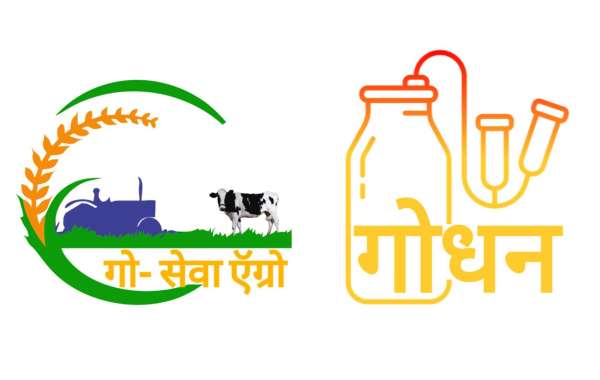 The Ultimate Affordable Milking Machine for Today’s Dairy Farmers