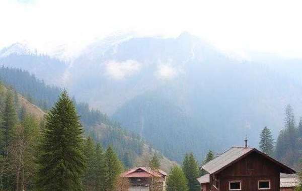 Himachal Pradesh Times: The Best Travel & Tourism Blog for Himalayan Adventures