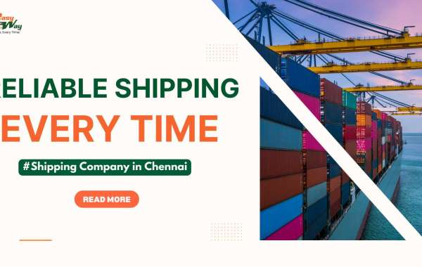 Easyway Logistics – Your Trusted Partner for Safe and Fast Global Shipping