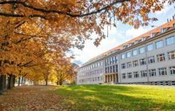 Social Work Theories