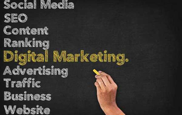 Why Local Businesses Trust a Digital Marketing Agency in Delhi?