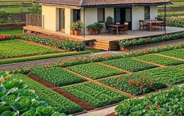 MAPLE LEAFS POSTGAME NOTES, Might 5 vs. FLORIDA, Spherical 2, Match 1