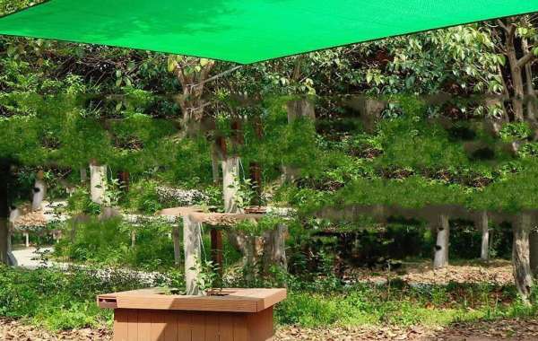 Soil Cover Dust Net as well as Position throughout Ecological Security