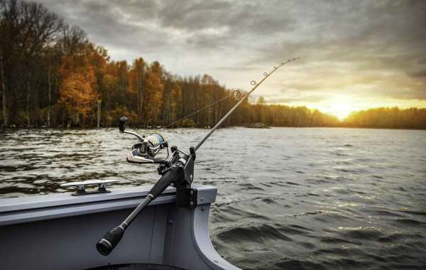Best Fishing Gear and Essentials for Beginners and Experienced Anglers