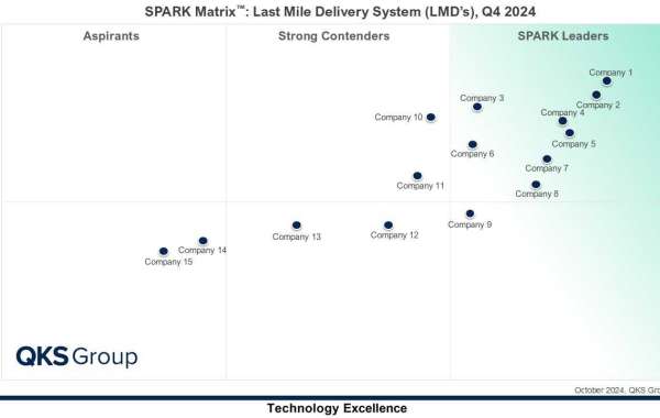 Fast, Smart, and Green The Evolution of Last-Mile Delivery Systems in the Digital Era