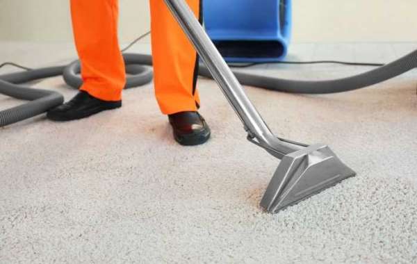 Elevate Your Home’s Comfort and Health with Carpet Cleaning