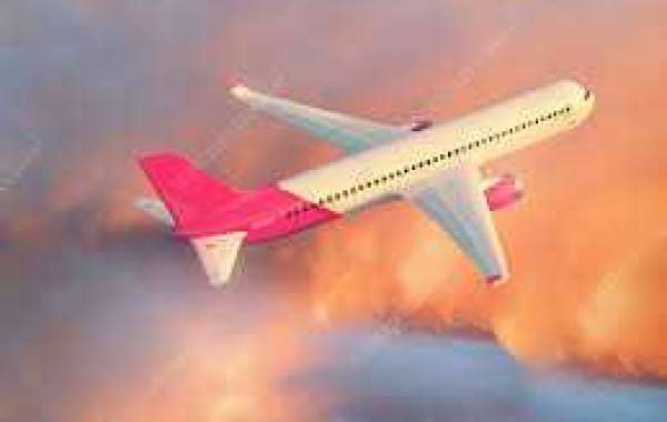 Your Trusted Turkish Airlines Panama City Office in Panama