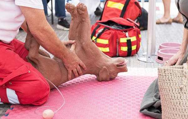 PDRE Certified Dog First Aid and CPR Course in Palm Desert