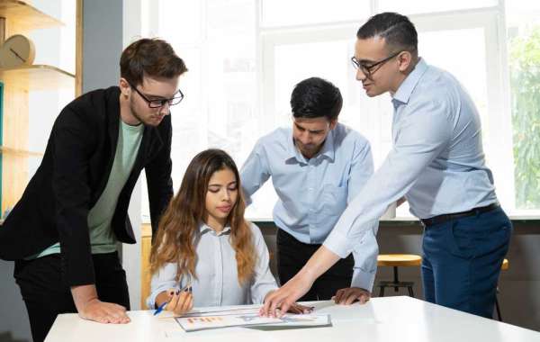 Organizational Development Consultant