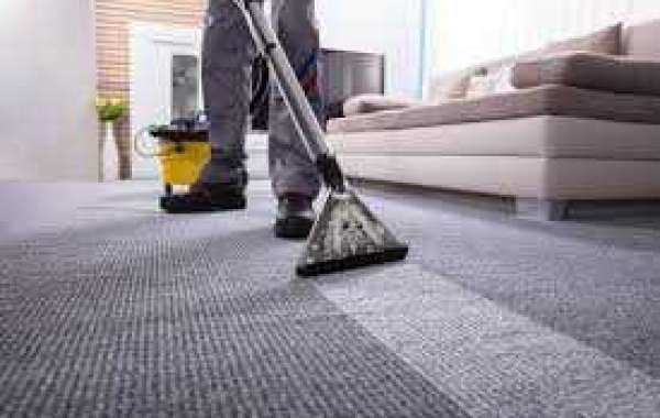 Carpet Cleaning Services That Bring Carpets Back to Life