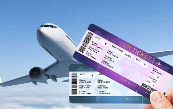 How to Book a Dummy Ticket Online in Less Than 5 Minutes