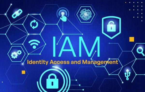 Identity and Access Management Market Insights: From Passwords to Zero Trust Security