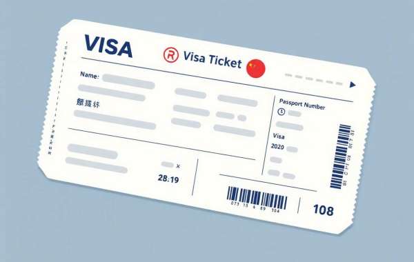 How to Avoid Visa Rejection Due to Invalid Dummy Flight Ticket for Visa
