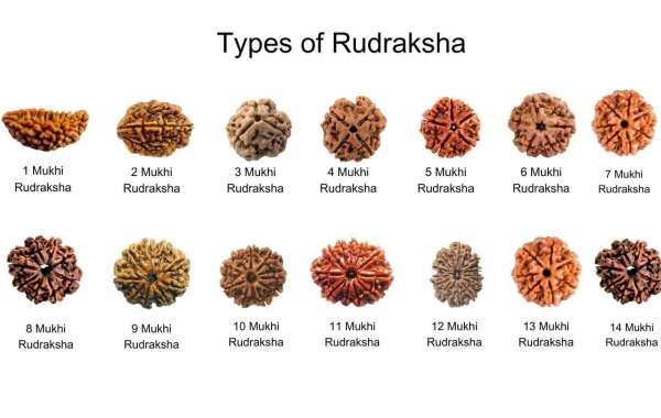 Why Rudraksha Is Important for Meditation and Mental Peace