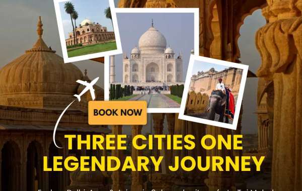 Delhi Agra Jaipur Tour