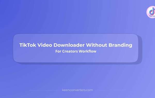 TikTok Video Downloader Without Branding For Creators Workflow