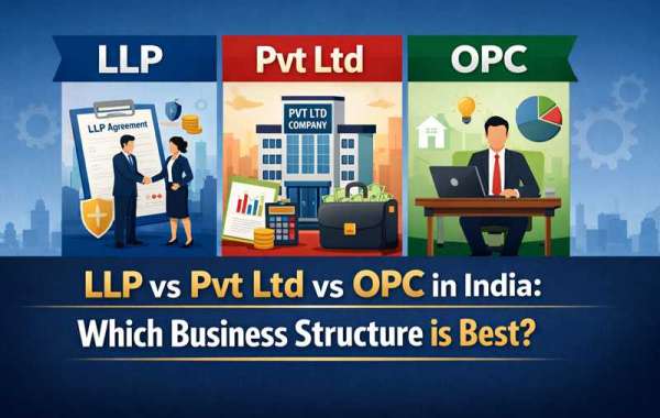 LLP vs Pvt Ltd vs OPC in India: Which Company Structure Should You Choose?