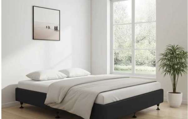 Complete Bedroom & Living Room Furniture Guide in New Zealand From Dressing Tables to Queen Bed Bases and Mattresses