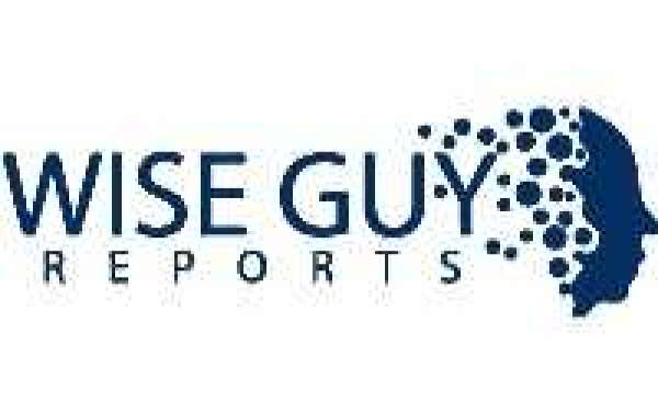 Pre Boarding Security System Market Trends Shaping the Future of Aviation Safety